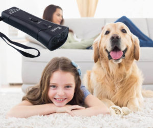 BarxBuddy- The Best Gadget That Stops Your Dog’s Barking in 1 Second